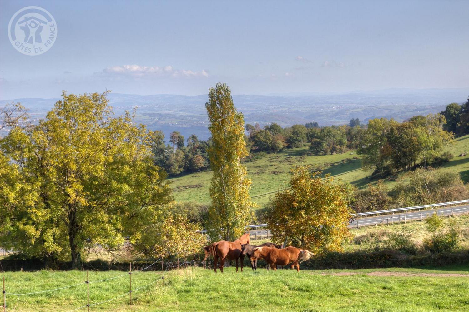 La Ferme Des Galoches Frühstückspension Villemontais